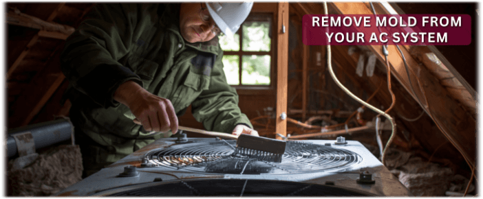 HVAC Mold Removal Irving TX